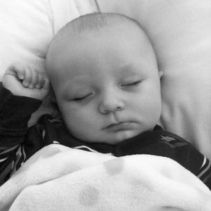 Meet your Posher, Laurie